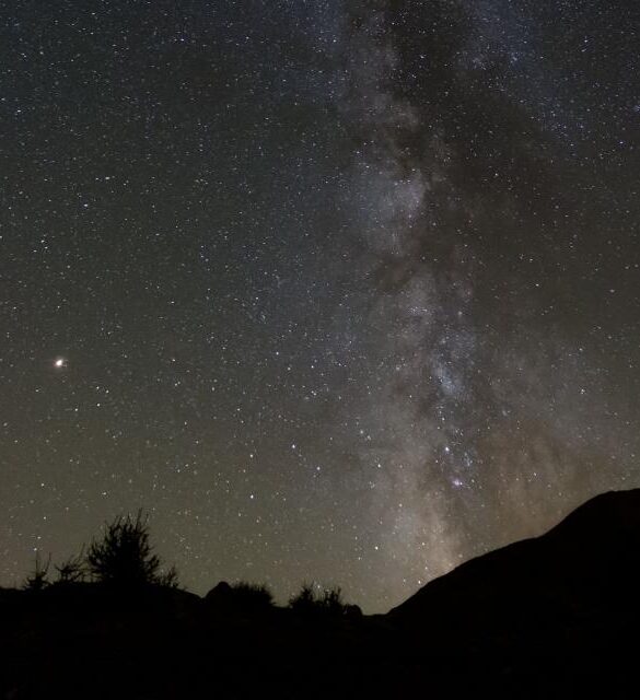 Le parc aux étoiles