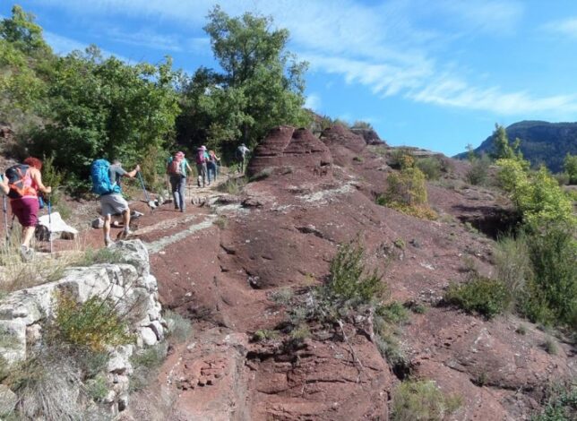 Au milieu de la nature