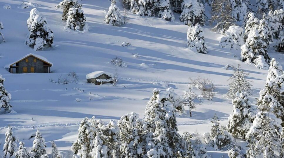 Au fil de l’hiver
