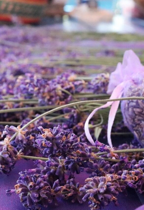 Spa et Lavender