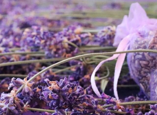 Spa et Lavender