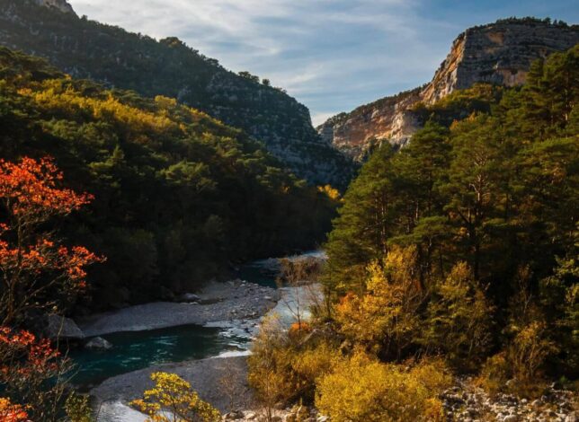 Couleurs D'automne Variés D'une Forêt Mixte Dans La Région De La