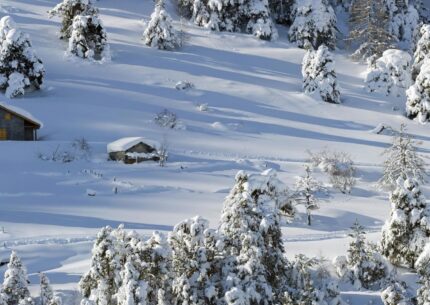 Nos stations de montagne