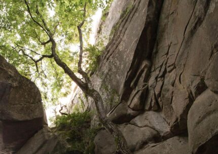 Entrez dans le monde mystérieux des grès d’Annot …