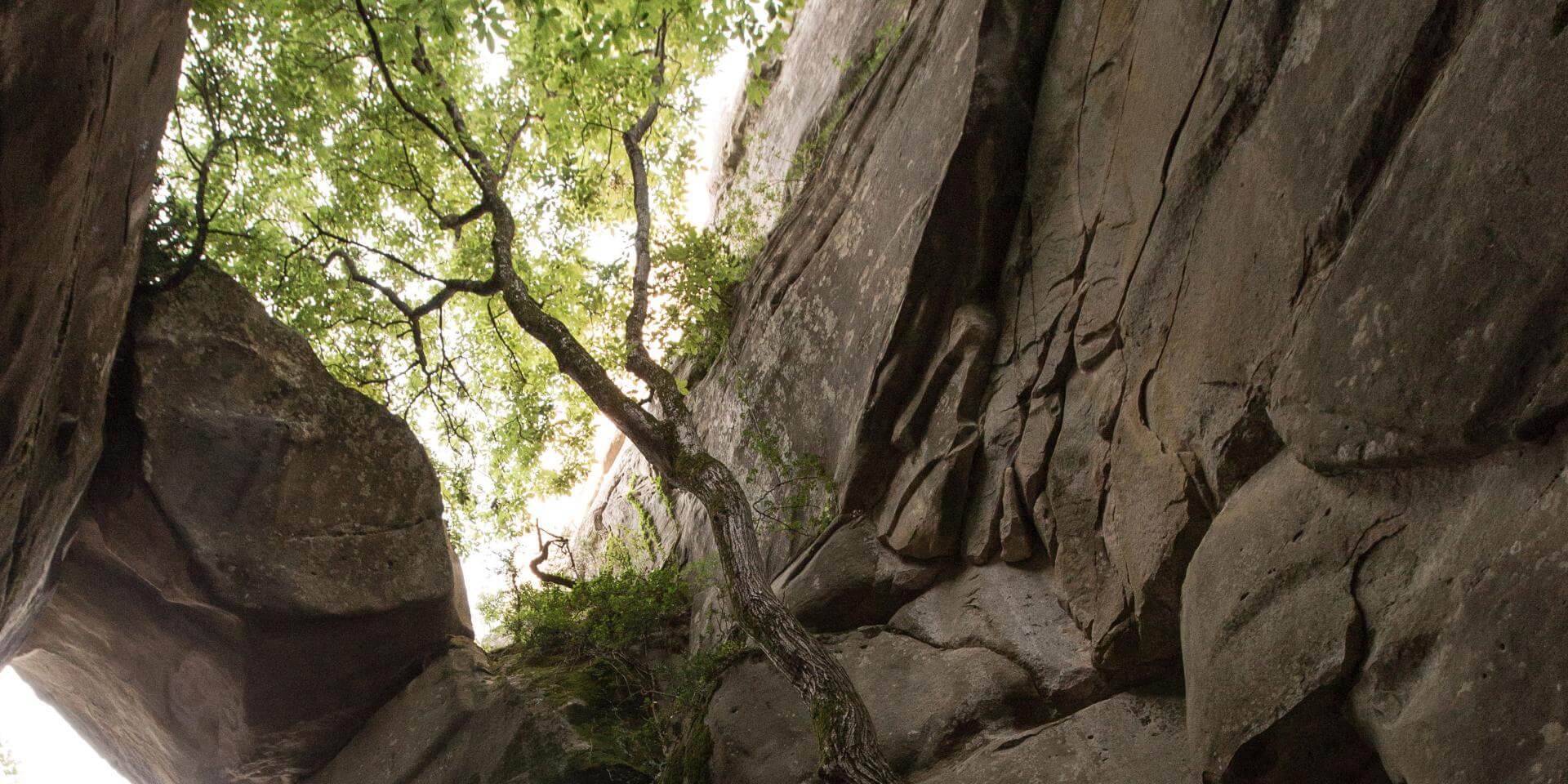 Entrez dans le monde mystérieux des grès d’Annot …