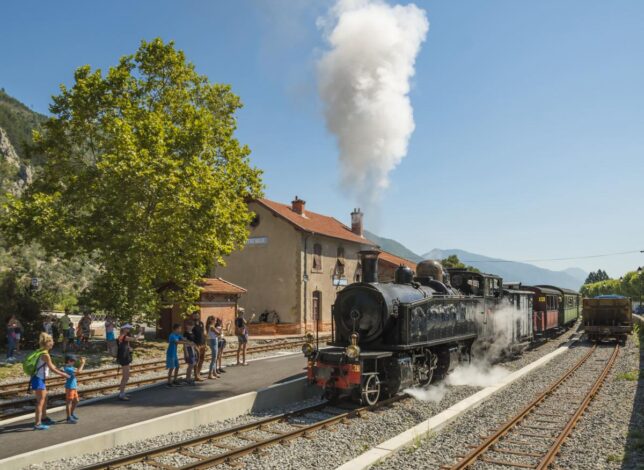 Train des pignes à vapeur