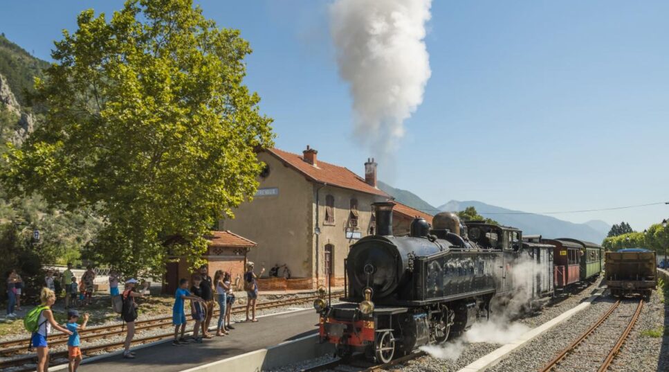 Train des pignes à vapeur