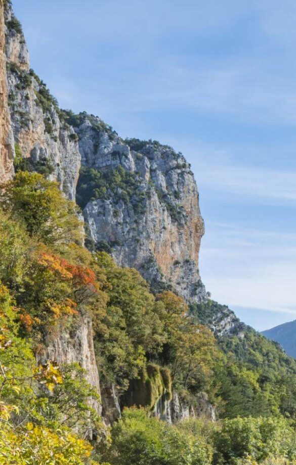 Falaises boisées des Gorges du Verdon