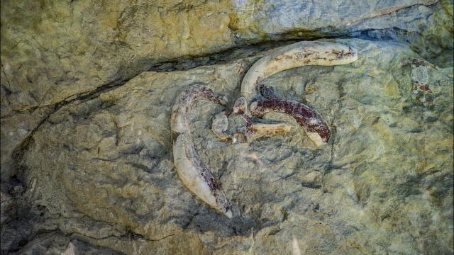 Des vestiges de l'histoire dans la pierre