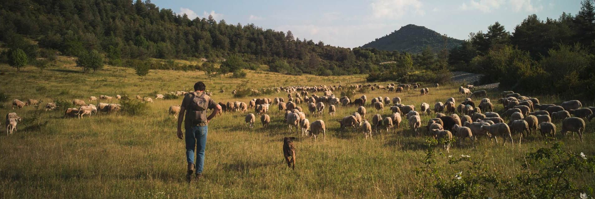 Une ambiance provençale dans le verdon