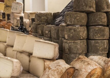 Les fromages de la région