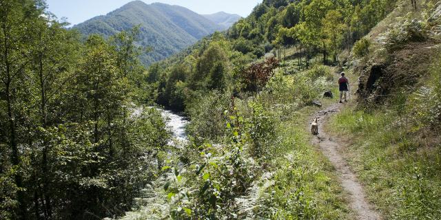 Les randonnées possibles avec mon chien