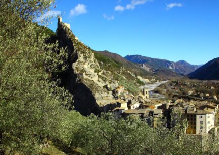 Les Oliviersaux portes du Verdon
