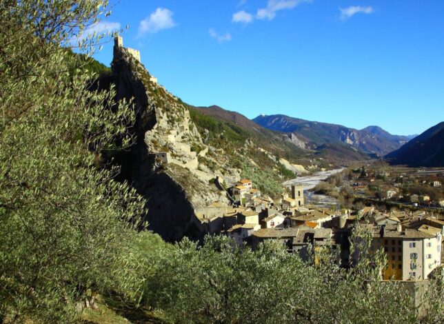 Les Oliviersaux portes du Verdon