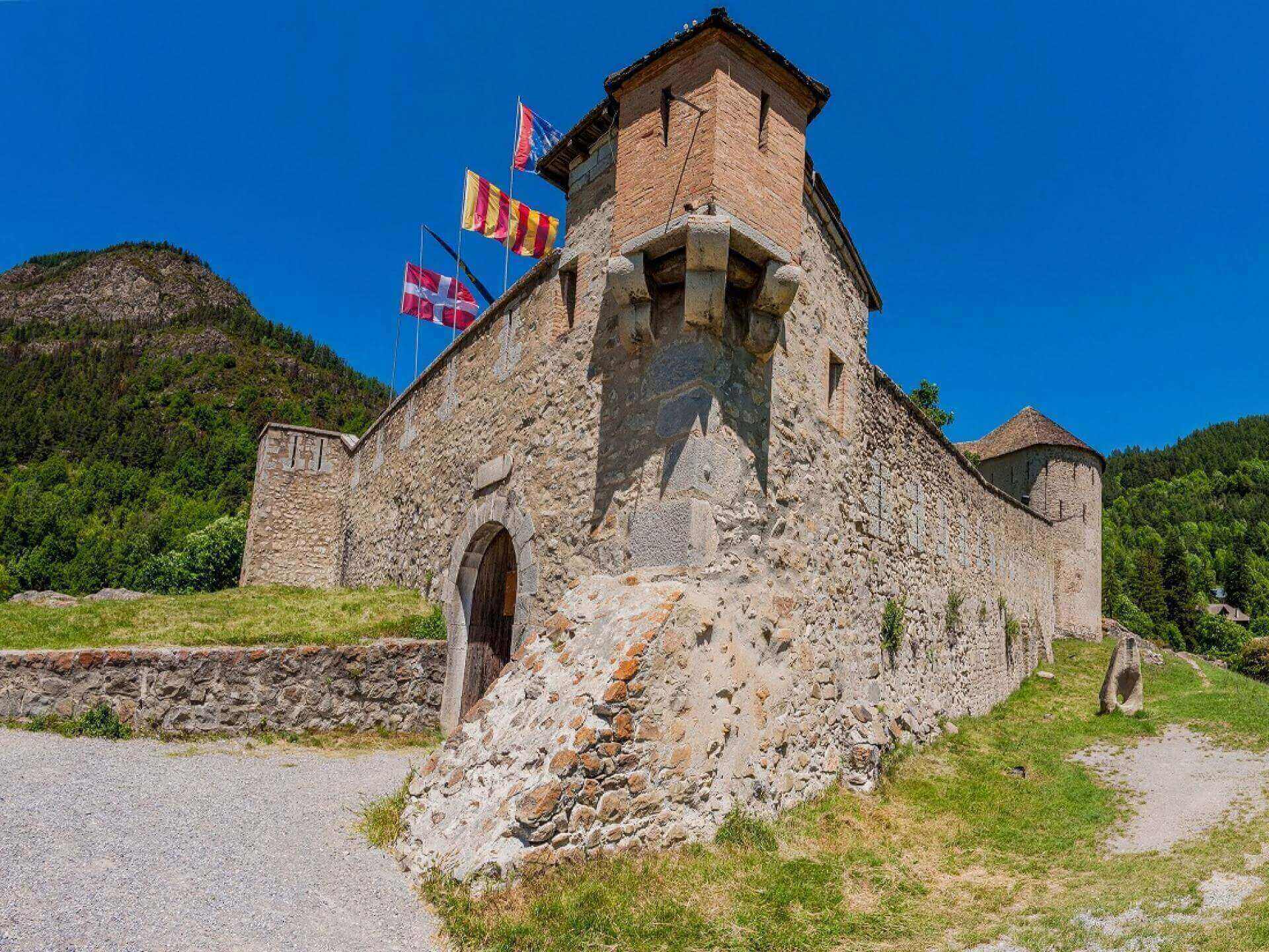 25 PERLES D'ENCENS DES ALPES - Encens naturel des Alpes