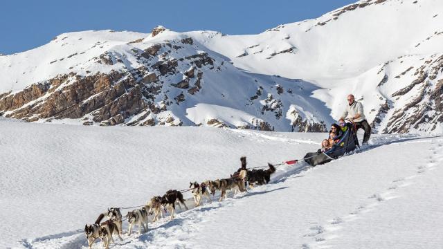 Balades en chiens de traîneau