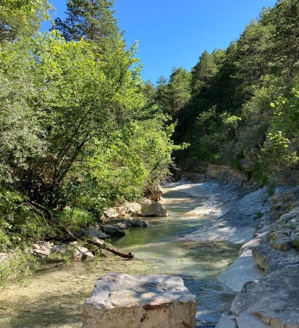 La rivière sauvage de La Chalvagne