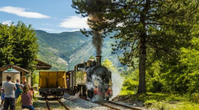 Le train a vapeur