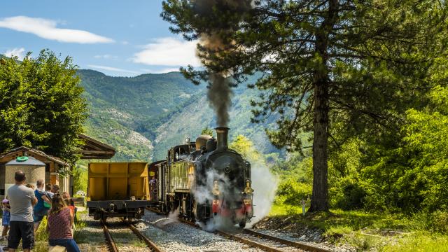 Le train a vapeur