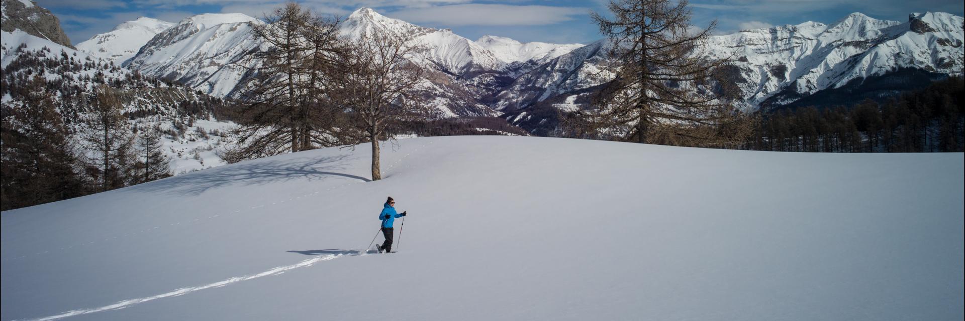 Raquettes sous la neige