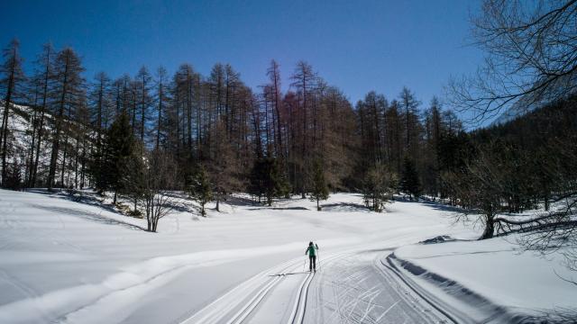 Descente à ski de fond