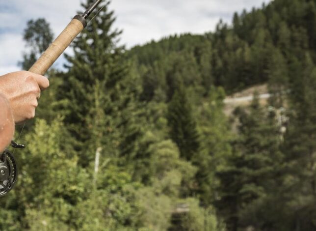 Pêcheur dans les plus beaux coins