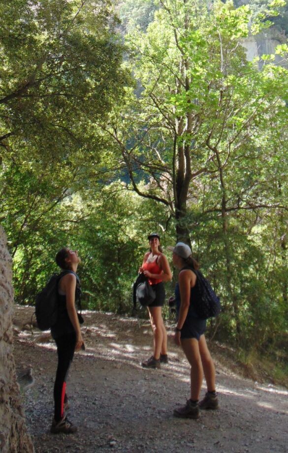 randonneur sur le sentier blanc-martel