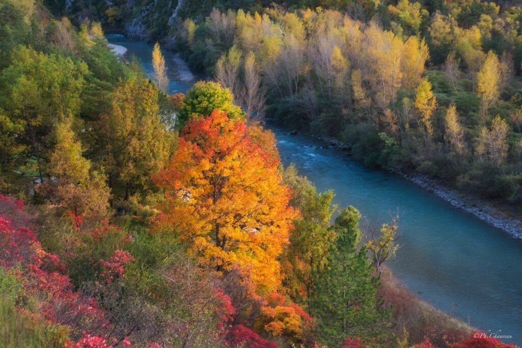 Couleur d'automne lors d'une randonnée dans le Verdon