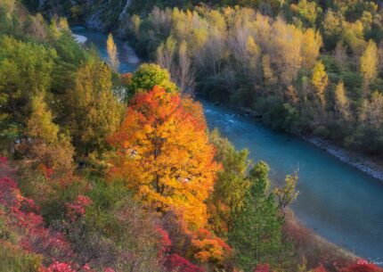 Couleur d'automne lors d'une randonnée dans le Verdon
