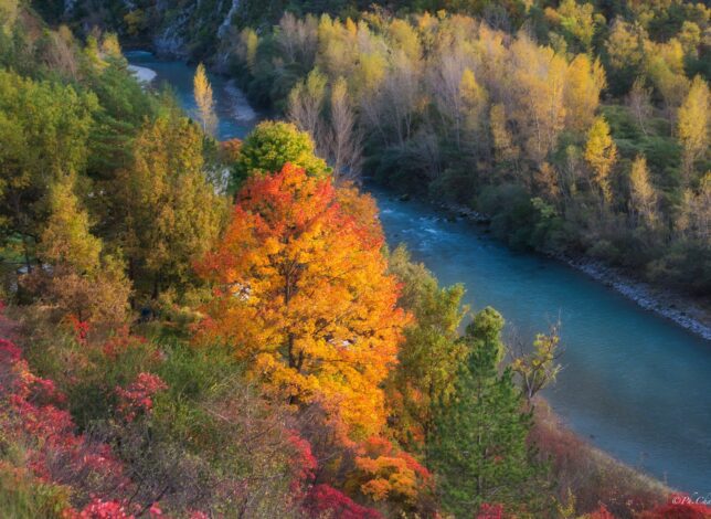 Couleur d'automne lors d'une randonnée dans le Verdon