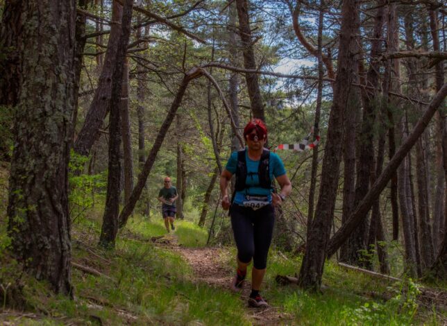 Banniere parcours trail du Verdon
