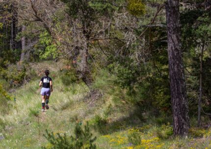 banniere page trail verdon
