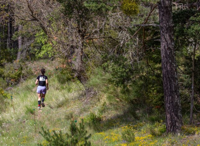 banniere page trail verdon