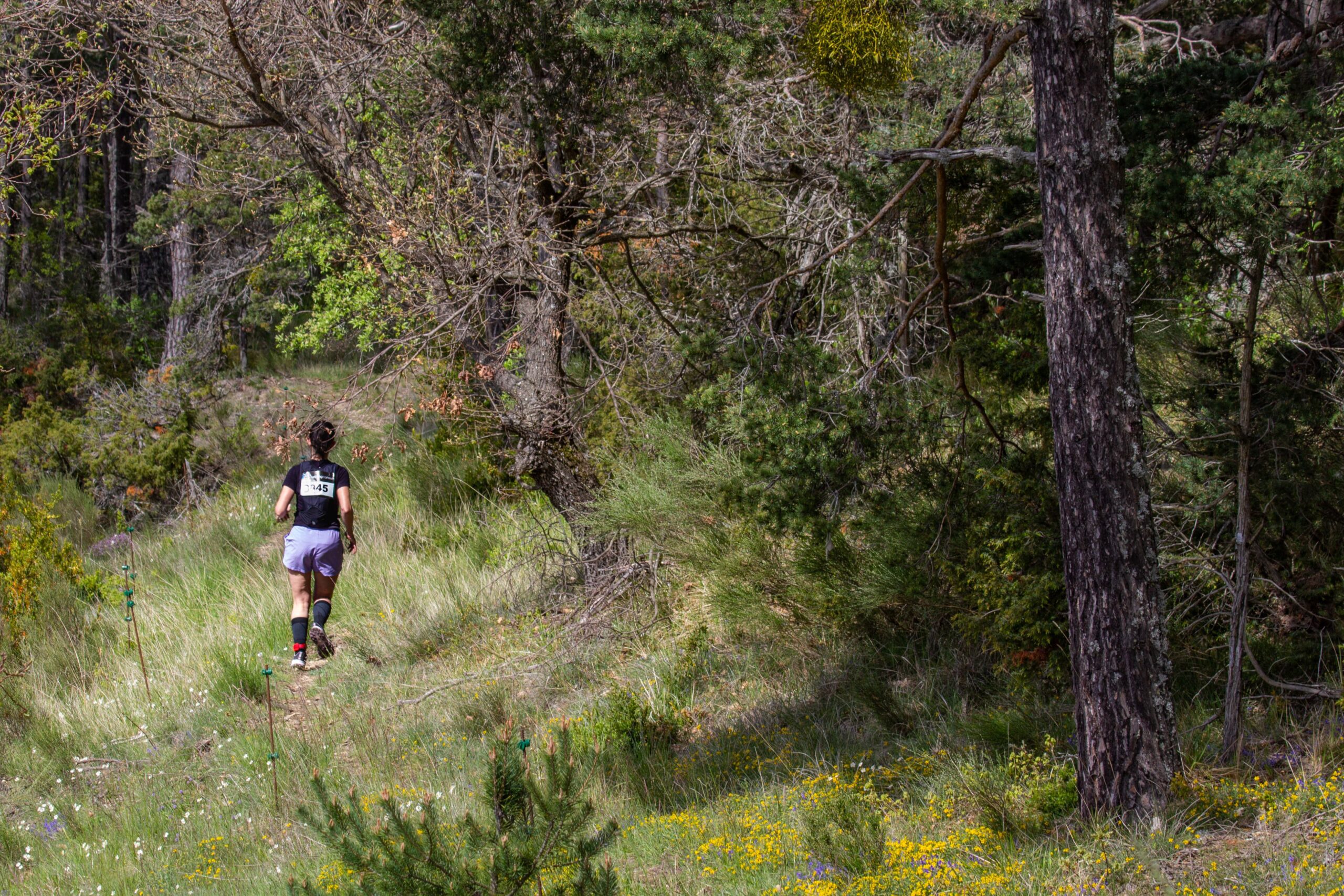 banniere page trail verdon