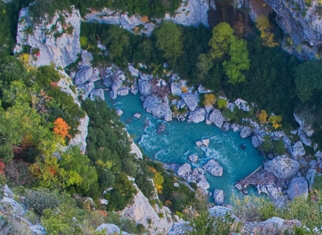 Campo di lavanda nel Verdon