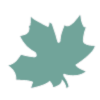 logo-feuille-verdon-automne