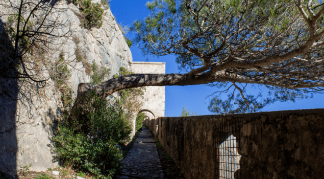 13-Cards-menu_du-verdon