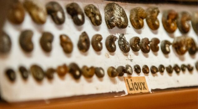 Géologique_CardsMegaMenu_VerdonTourisme