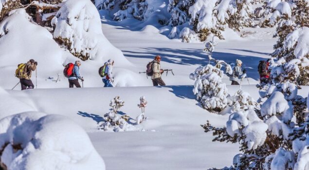 Cards - Guide des sentiers raquette dans le Verdon