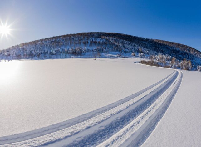 Traces de ski de fond sur un champ enneigé du Haut-Verdon