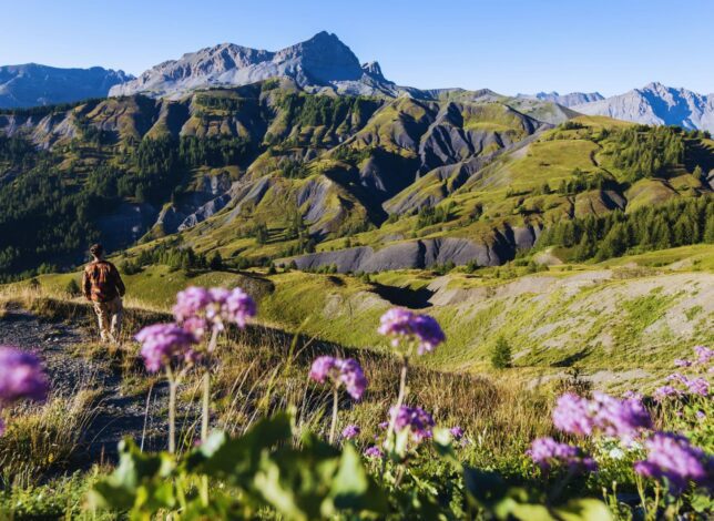 Randonneur face aux sommets du Verdon en altitude