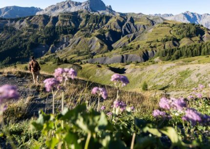 Les sommets ©AD04-Nicolas Duye