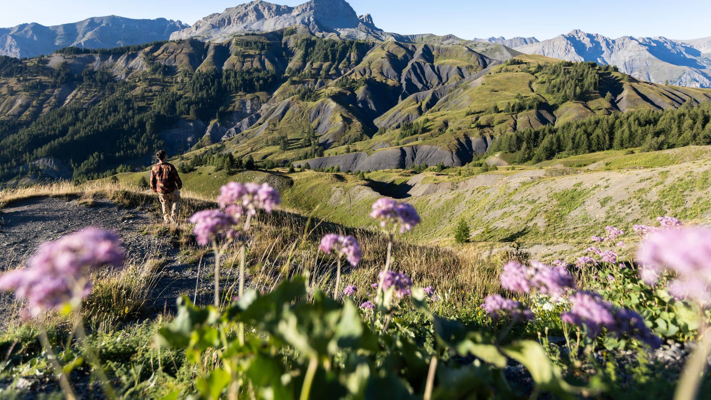 Les sommets ©AD04-Nicolas Duye