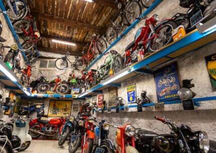 Bandeau Fullwidth - Visite_guidee_Saint_Andre_Dylan_Blerie