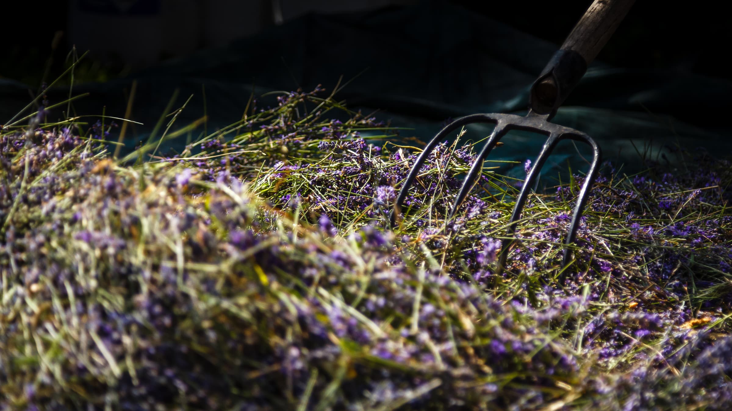 Nos producteurs – ©Mathieu Simoulin