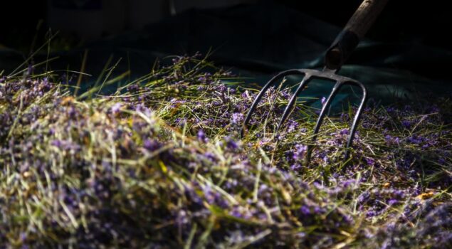 Les producteurs sur le territoire du Verdon