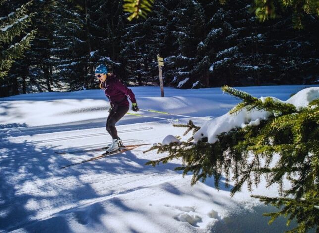 2026 - Cards - Activités - Ratery 1700