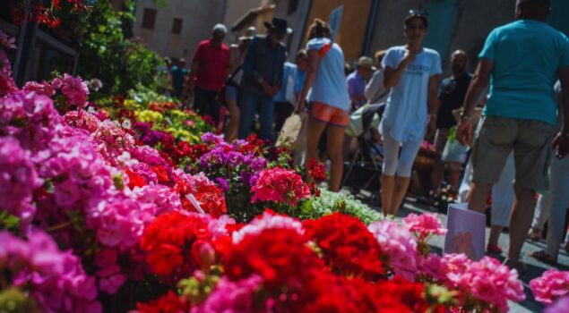 Cards - Tout l'agenda du Verdon