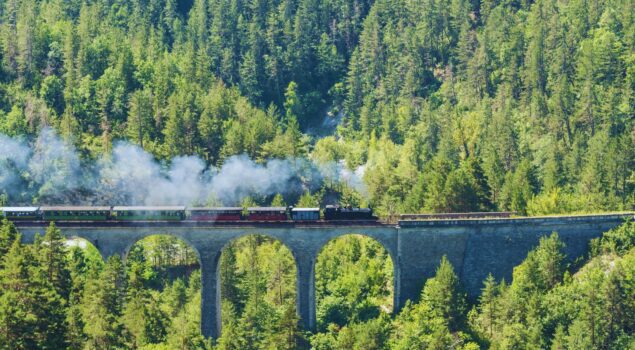 Train des Pignes à vapeur sur les rails dans le Verdon