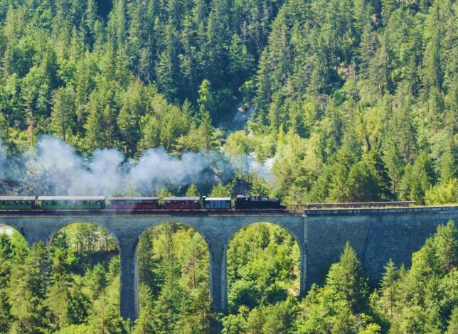 Train des Pignes à vapeur sur les rails dans le Verdon